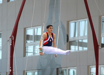 Qadın idman gimnastikası, aerobika və batut gimnastikası üzrə məqşlər keçirilib. Bakı, Azərbaycan, 19 may 2015