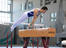 Qadın idman gimnastikası, aerobika və batut gimnastikası üzrə məqşlər keçirilib. Bakı, Azərbaycan, 19 may 2015