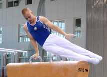 Qadın idman gimnastikası, aerobika və batut gimnastikası üzrə məqşlər keçirilib. Bakı, Azərbaycan, 19 may 2015