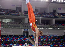 Qadın idman gimnastikası, aerobika və batut gimnastikası üzrə məqşlər keçirilib. Bakı, Azərbaycan, 19 may 2015