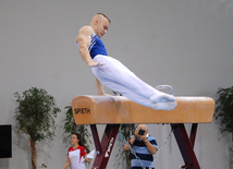 Qadın idman gimnastikası, aerobika və batut gimnastikası üzrə məqşlər keçirilib. Bakı, Azərbaycan, 19 may 2015