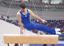 Qadın idman gimnastikası, aerobika və batut gimnastikası üzrə məqşlər keçirilib. Bakı, Azərbaycan, 19 may 2015