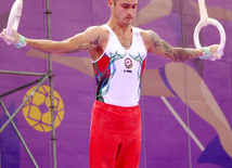 Тренировки запомнились выступлениями аэробных гимнастов, художественных гимнасток, акробатов, мужских и женских спортивных гимнастов. Баку, Азербайджан, 06 июня 2015 г.  