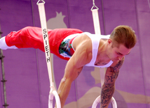 Тренировки запомнились выступлениями аэробных гимнастов, художественных гимнасток, акробатов, мужских и женских спортивных гимнастов. Баку, Азербайджан, 06 июня 2015 г. 