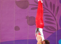 В преддверии Евроигр в Баку прошли последние проверочные тренировки гимнастов. Баку, Азербайджан, 06 июня 2015 г. 