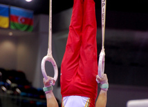 Azərbaycan gimnastları medallar uğrunda mübarizəni davam etdirirlər. Bakı, Azərbaycan, 14 iyun 2015