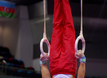 Azərbaycan gimnastları medallar uğrunda mübarizəni davam etdirirlər. Bakı, Azərbaycan, 14 iyun 2015