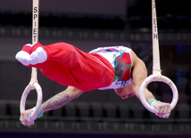 Azərbaycan gimnastları medallar uğrunda mübarizəni davam etdirirlər. Bakı, Azərbaycan, 14 iyun 2015