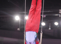 Azərbaycan gimnastları medallar uğrunda mübarizəni davam etdirirlər. Bakı, Azərbaycan, 14 iyun 2015