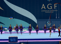 Bakıda idman gimnastikası üzrə FIG "Challenge" Dünya Kubokunun rəsmi açılış mərasimi. Azərbaycan, 19 fevral, 2016