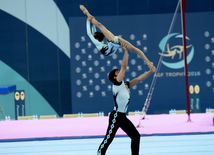 Bakıda idman gimnastikası üzrə FIG "Challenge" Dünya Kubokunun rəsmi açılış mərasimi. Azərbaycan, 19 fevral, 2016