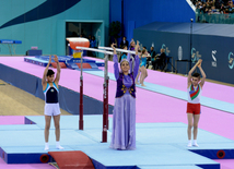 Bakıda idman gimnastikası üzrə FIG "Challenge" Dünya Kubokunun rəsmi açılış mərasimi. Azərbaycan, 19 fevral, 2016