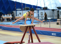 Стартовали чемпионаты Азербайджана по спортивной и акробатической гимнастике. 