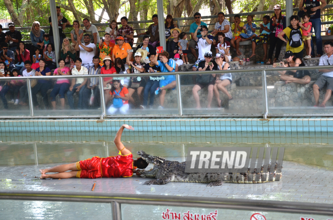 The Million Years Stone Park & Pattaya Crocodile Farm. Pattaya, Tailand, 14 Jan. 2017