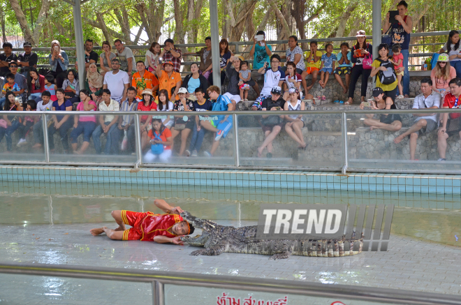 The Million Years Stone Park & Pattaya Crocodile Farm. Pattaya, Tailand, 14 Jan. 2017