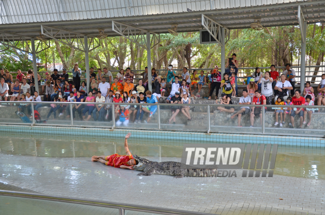 The Million Years Stone Park & Pattaya Crocodile Farm. Pattaya, Tailand, 14 Jan. 2017