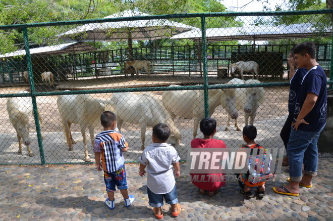 The Million Years Stone Park & Pattaya Crocodile Farm. Pattaya, Tailand, 14 Jan. 2017