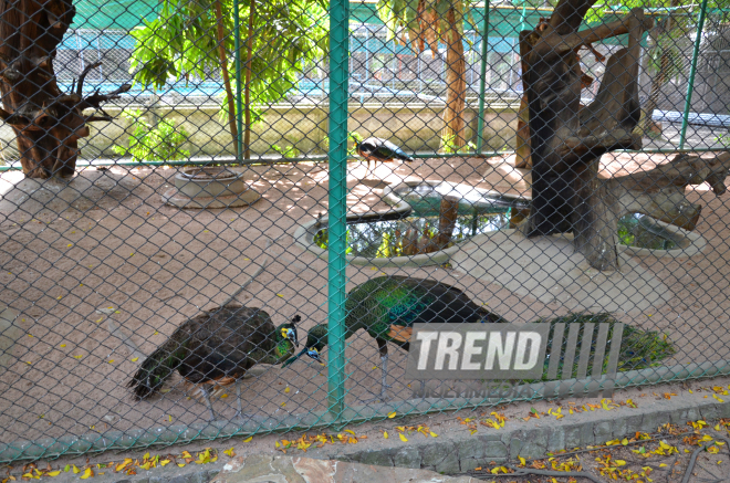 The Million Years Stone Park & Pattaya Crocodile Farm. Pattaya, Tailand, 14 Jan. 2017