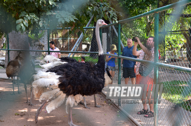 The Million Years Stone Park & Pattaya Crocodile Farm. Pattaya, Tailand, 14 Jan. 2017