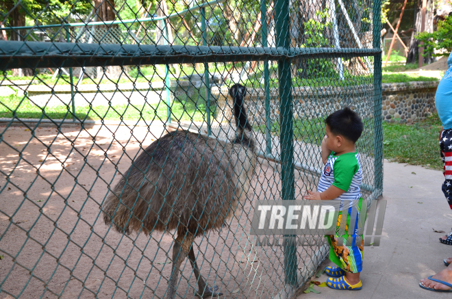 The Million Years Stone Park & Pattaya Crocodile Farm. Pattaya, Tailand, 14 Jan. 2017