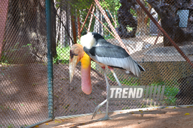 The Million Years Stone Park & Pattaya Crocodile Farm. Pattaya, Tailand, 14 Jan. 2017