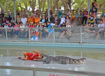 The Million Years Stone Park & Pattaya Crocodile Farm