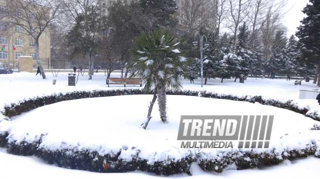 Snowy landscapes in Baku. Azerbaijan, Feb.1, 2017