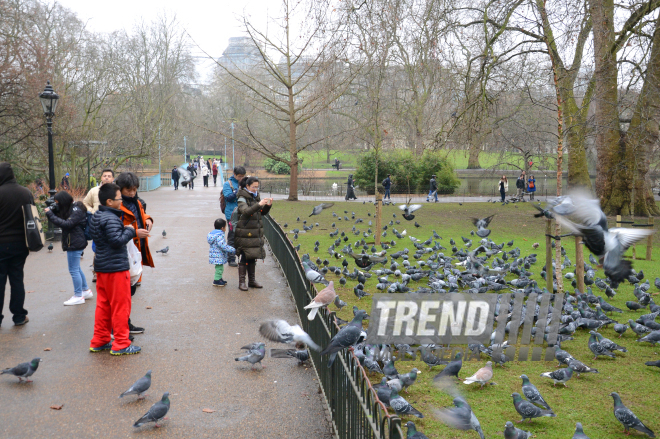 London bu gün. Böyük Britaniya, 9 fevral 2017