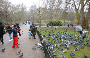 London bu gün. Böyük Britaniya, 9 fevral 2017