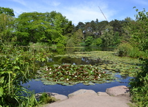 Ботанический сад Копенгагена