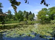 Botanical Garden in Copenhagen
