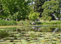 Ботанический сад Копенгагена