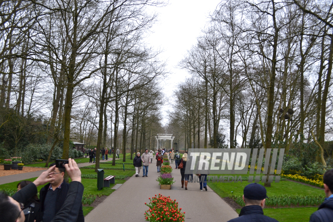 Keukenhof Gardens in Amsterdam. Holland, 28 march, 2017