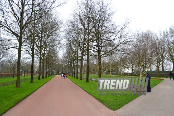 Национальный парк цветов Keukenhof в Амстердаме. Голландия. 28 марта, 2017