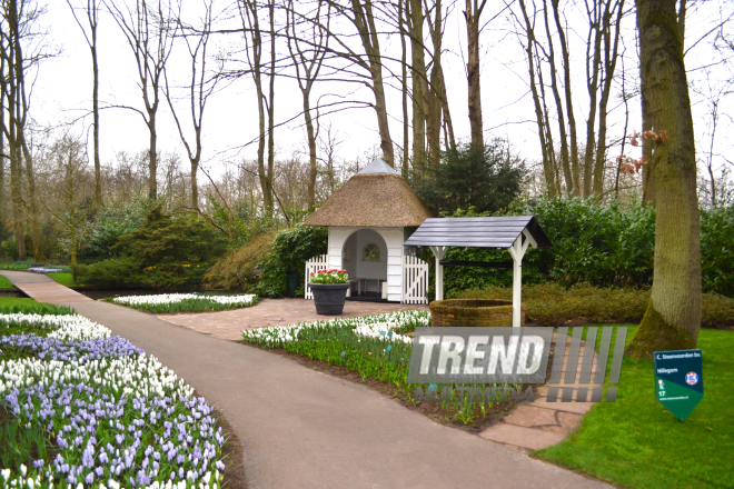 Keukenhof Gardens in Amsterdam. Holland, 28 march, 2017