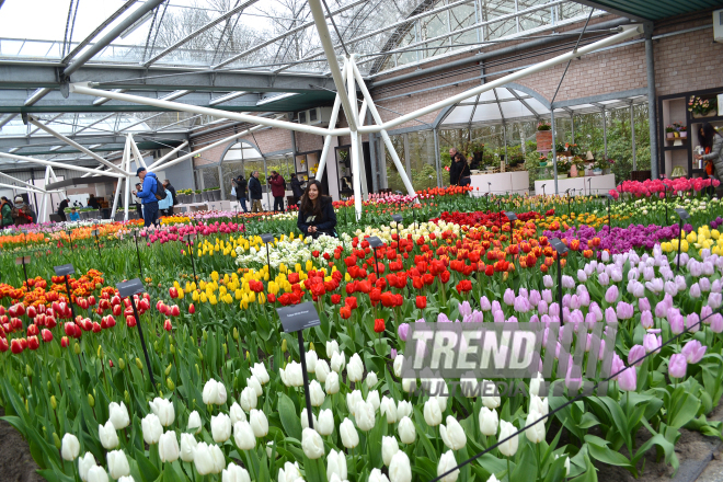 Keukenhof Gardens in Amsterdam. Holland, 28 march, 2017