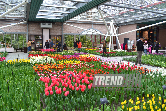 Keukenhof Gardens in Amsterdam. Holland, 28 march, 2017