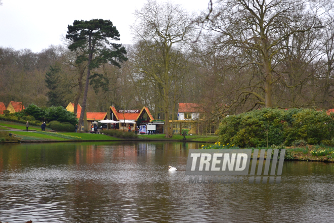 Национальный парк цветов Keukenhof в Амстердаме. Голландия. 28 марта, 2017