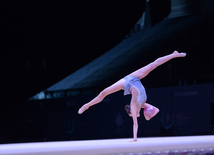 Bədii gimnastika üzrə Dünya Kuboku yarışlarında ən yaxşı məqamlar