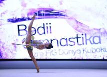  Bədii gimnastika üzrə Dünya Kuboku yarışlarında - ikinci gün