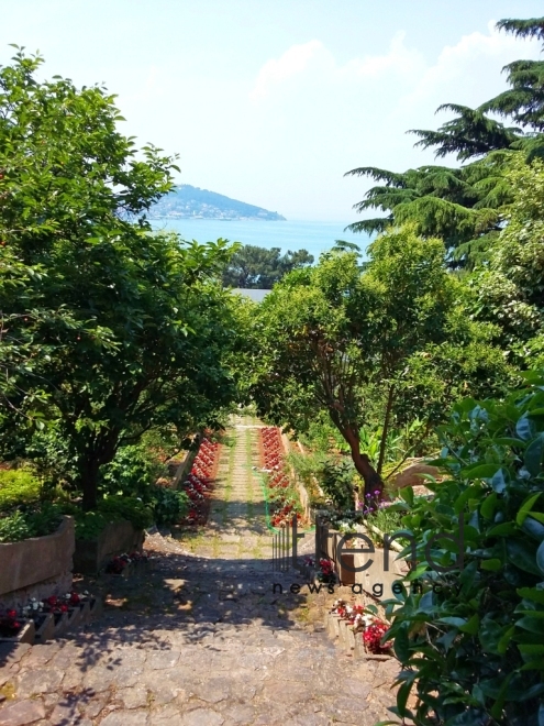 Böyük Adada gəzinti, İstanbul, Türkiyə, 8 iyun, 2017