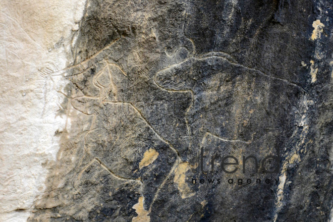 Gobustan State Historical and Artistic Reserve marks the 50th anniversary of its establishment and the 10th anniversary of its inclusion in the UNESCO World Heritage List. Azerbaijan, June 13th, 2017
