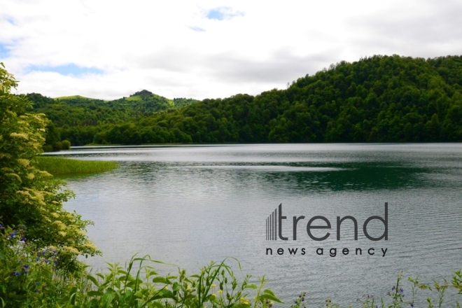 Lake Goygyol is the pearl of the Goygyol National Park. Azerbaijan, 21st of june, 2017