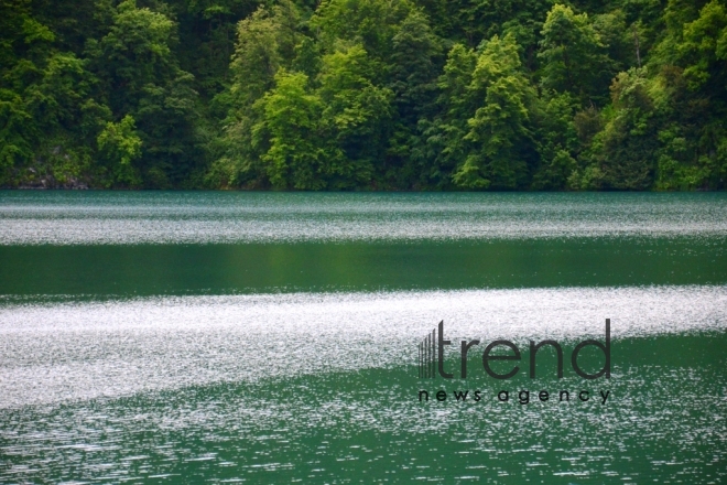 Lake Goygyol is the pearl of the Goygyol National Park. Azerbaijan, 21st of june, 2017