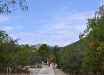  Национальный парк Олюдяниз (Голубая лагуна) - место соприкосновения Эгейского и Средиземного морей. 