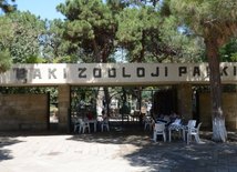 Лето в Бакинском зоопарке