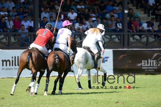 Baku hosts Arena Polo World Cup competitions. Azerbaijan, Baku, september 10, 2017
