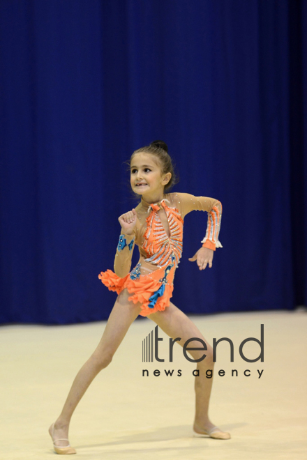 Competitions of the Open Championship and Cup of the START sports club on Rhythmic Gymnastics "Autumn stars". Azerbaijan, Baku, October 14, 2017
