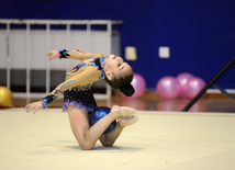  Competitions of the Open Championship and Cup of the START sports club on Rhythmic Gymnastics "Autumn stars" 