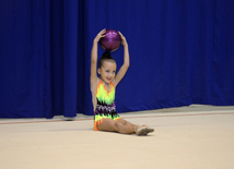  Competitions of the Open Championship and Cup of the START sports club on Rhythmic Gymnastics "Autumn stars" 